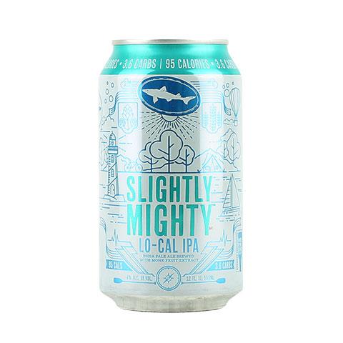 Dogfish Head Slightly Mighty - Beer Shop Store